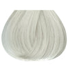 Studio Stylist Express 10 Minutes Permanent Color 10N