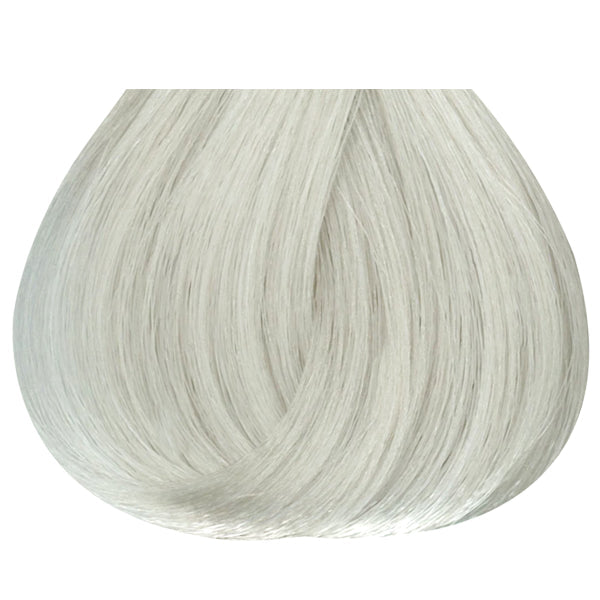 Studio Stylist Express 10 Minutes Permanent Color 10N