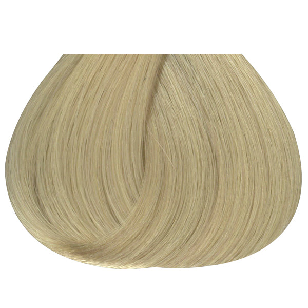 Permanent Color 10N