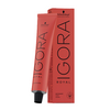 Igora Royal Permanent Hair color 8.1