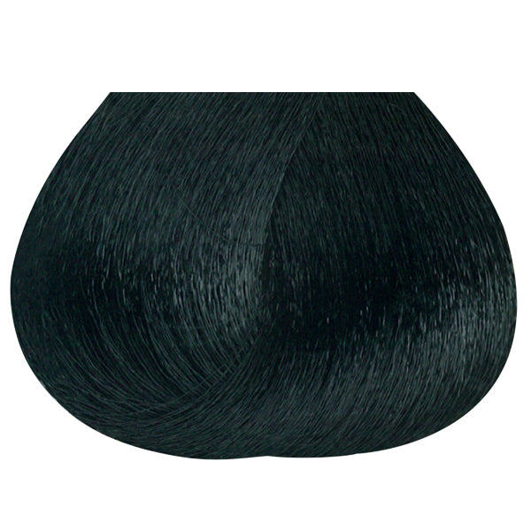 Permanent Color 1N