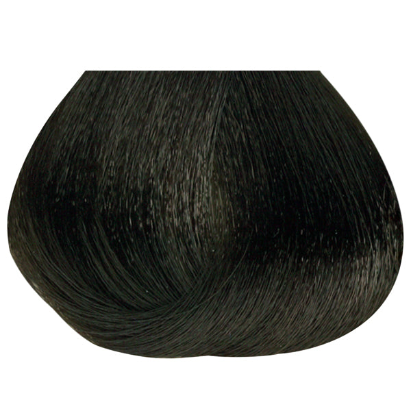 Permanent Color 4B