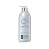 19 Pro Silver Shampoo