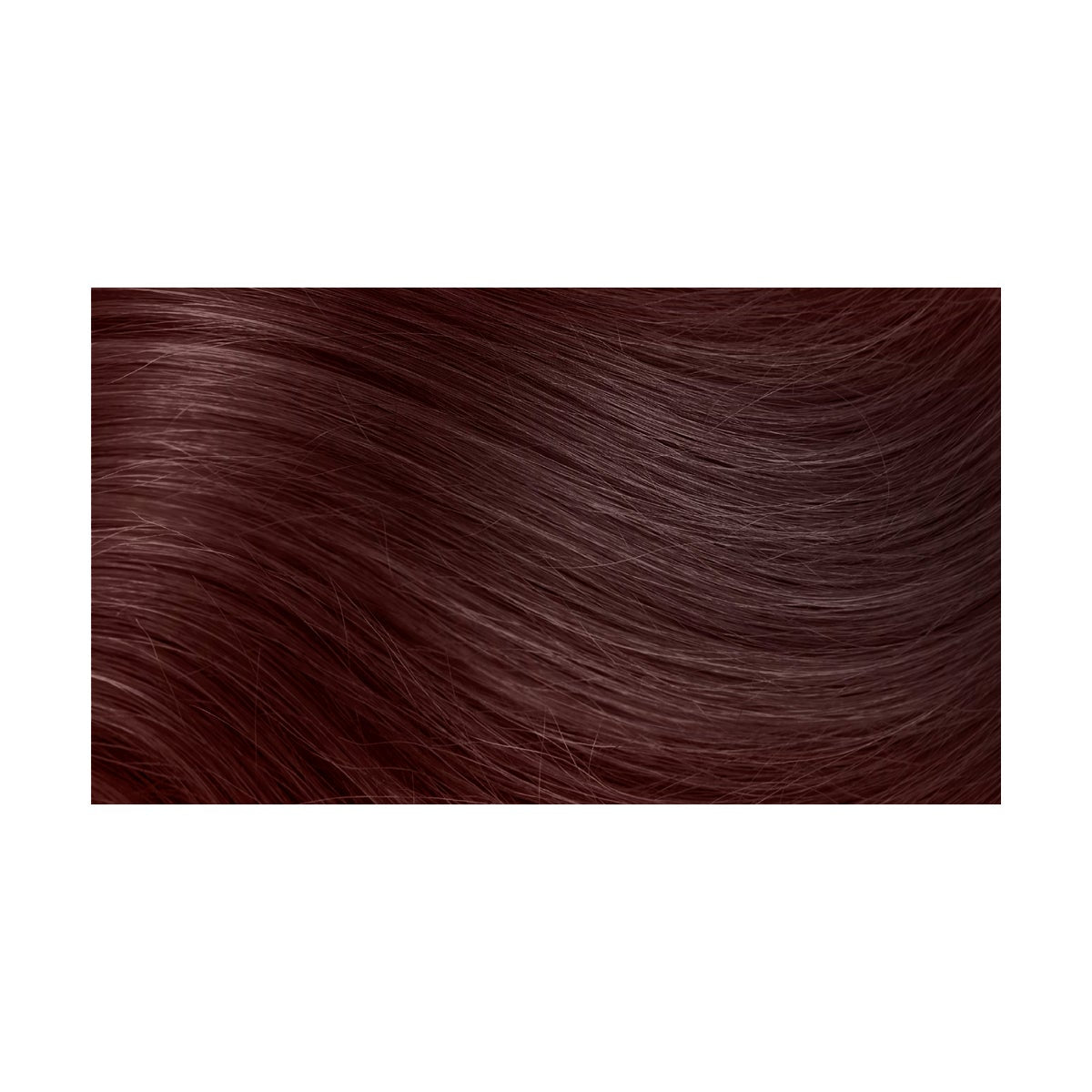 5RM Blush Of Barolo Previous Hair Color