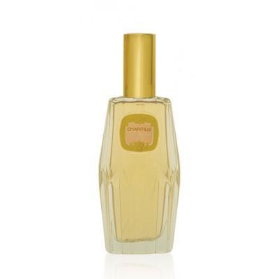 DANA Chantilly eau de toilette spray