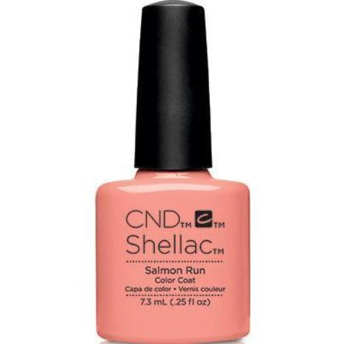 Shellac Salmon Run